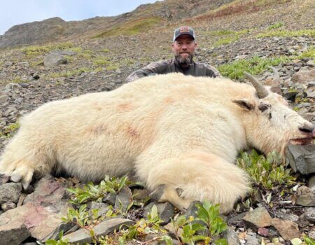 wta_2170_2023 BC goat