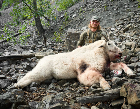 wta_2170_TFC_BC_Goat_130_092024