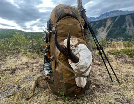 wta_2170_unnamed (11)