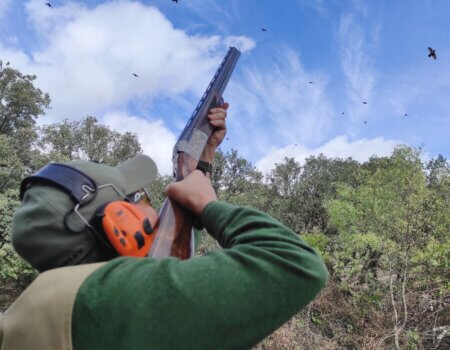 wta_2172_10.- Tirador