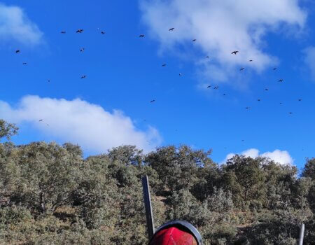 wta_2172_15.- Tirador perdices