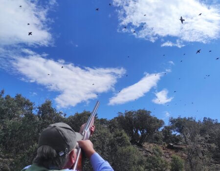 wta_2172_16.- Tirador perdices