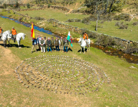 wta_2172_19.- Tableau perdices