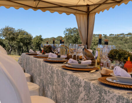 wta_2172_22.- Comida campo