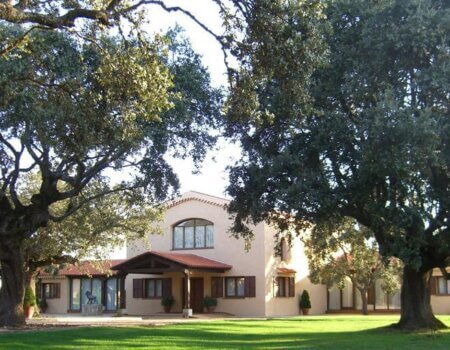 wta_2172_WhatsApp Image 2022-08-08 at 9.35.00 PM (1)