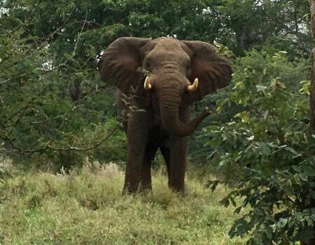 wta_2174_IMG_2867-scaled