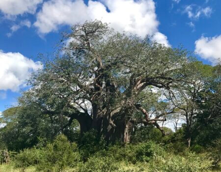 wta_2174_IMG_5123-scaled