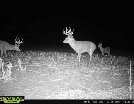 wta_2179_phire creek ks10