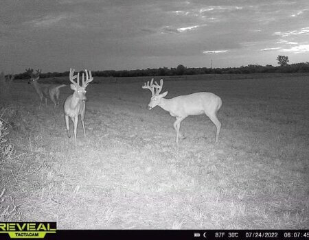 wta_2179_phire creek ks9