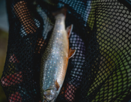 wta_2180_2238_2025-07_Austria Fly Fishing SOA_David Cannon Photography_print-25