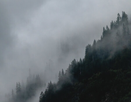 wta_2180_2238_2025-07_Austria Fly Fishing SOA_David Cannon Photography_print-94