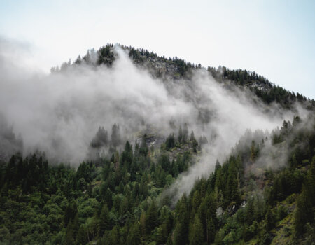 wta_2180_2238_2025-07_Austria Fly Fishing SOA_David Cannon Photography_print-95