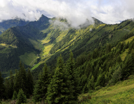 wta_2180_2338_ Austria Flyfishing_SOA_Photos_DusanSmetana_Large_Select_-364