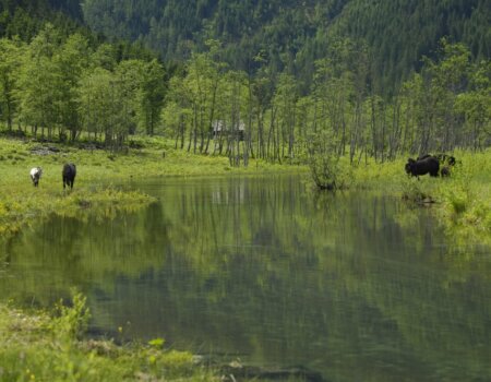 wta_2180_Maeanderstrecke_huettschlab_see-gross