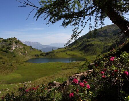 wta_2180_bergsee_grossarltal-gross