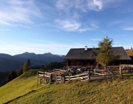 wta_2180_bichlalm-sommer-grossarltal-gross