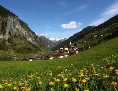 wta_2180_huettschlag_blumenwiese_grossarl-gross