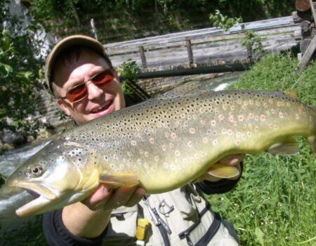 wta_2180_immer_wieder_die_freunde_aus_der_Schweiz_almroesl-gross