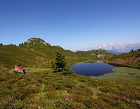 wta_2180_paarseen-aussicht-sommer-gross