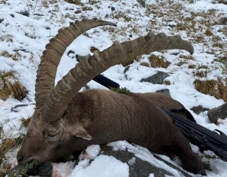 wta_2181_WhatsApp Image 2022-07-05 at 9.14.51 AM