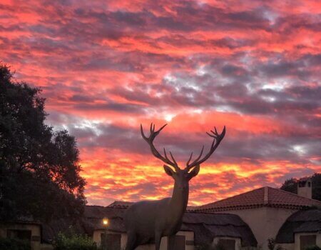 wta_2183_WhatsApp Image 2022-08-08 at 9.35.00 PM (4)