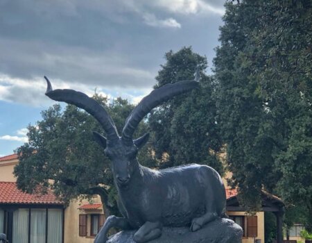 wta_2183_WhatsApp Image 2022-08-08 at 9.35.00 PM (5)