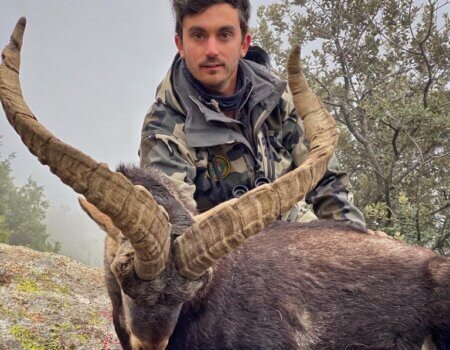 wta_2183_WhatsApp Image 2022-08-08 at 9.38.44 PM (4)