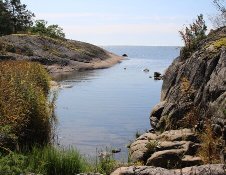 wta_2191_bjorkskar (11)