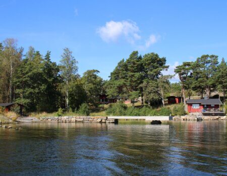 wta_2191_bjorkskar (12)