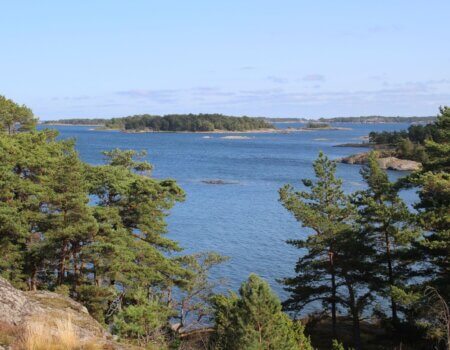 wta_2191_bjorkskar (8)