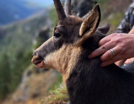 wta_2195_WhatsApp Image 2023-12-01 at 19.13.57