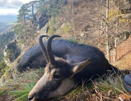 wta_2195_bbf1d5b6-d4fb-4c45-b3ba-e020589c8c5c