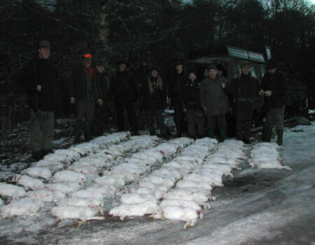 wta_2199_3adbddcb45e