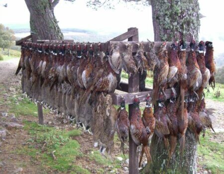 wta_2199_3ef0167385fa