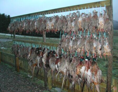 wta_2199_3f0d5c7e5c1