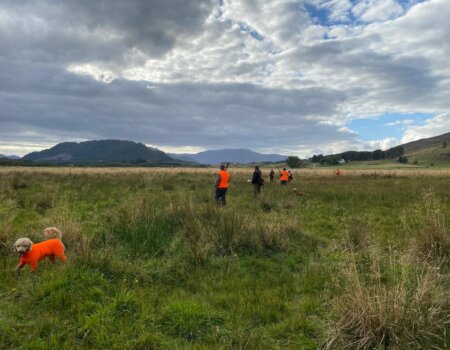 wta_2199_WhatsApp Image 2024-10-04 at 14.36.32 (5)