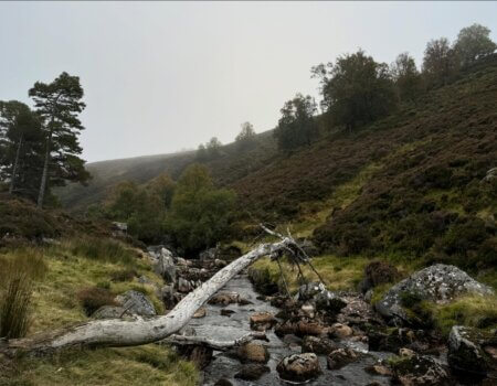 wta_2200_EBAF620D-6A11-481D-9BEC-81984FD391AA