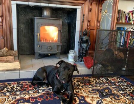 wta_2200_WhatsApp Image 2022-11-14 at 6.41.11 PM (5)