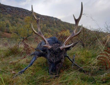 wta_2202_0d0321a8-3483-43b9-a1cd-8bccb1c945fb