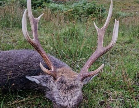 wta_2202_982fac78-f526-4162-9d33-cd7f70fbfe6b