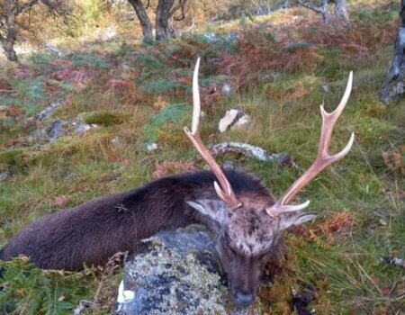 wta_2202_9964a94d-f5f3-41c7-82bd-cc83b2e3ce77