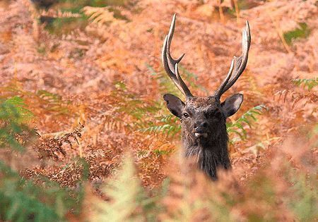 wta_2202_wp07e762e5_06