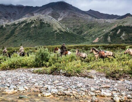 wta_2203_footer-bg-1