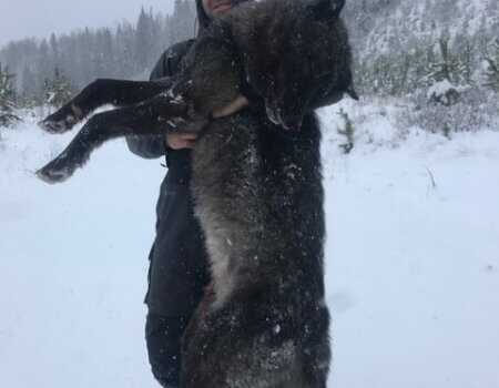 wta_2204_IMG_2817 (2)