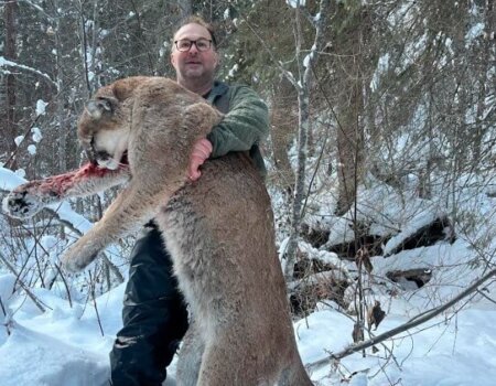 wta_2206_R Murphy BC cat