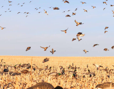 wta_2212_B72I4068.MOV.04_05_13_52.Still001