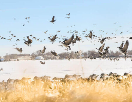 wta_2212_B72I5527.MOV.07_15_36_10.Still001 copy