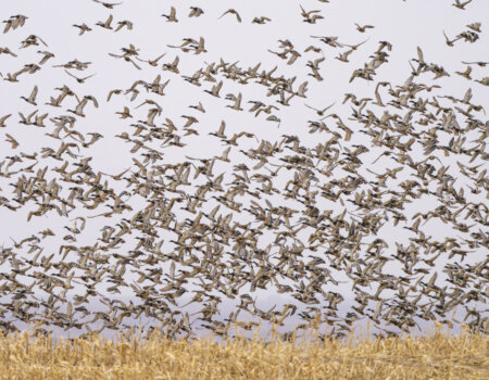 wta_2212__DSC6026-Enhanced-NR-1