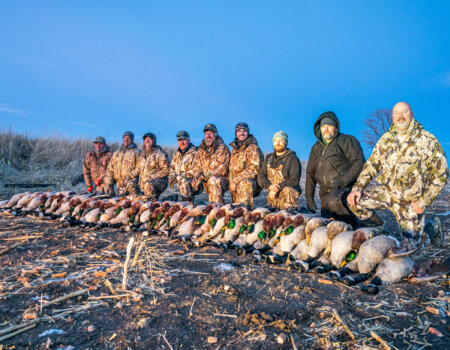 wta_2212__KSR0561 copy