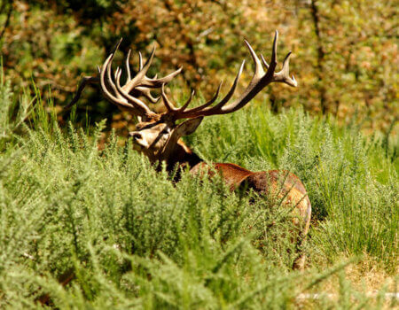 wta_2216_10-10-2010 (239)